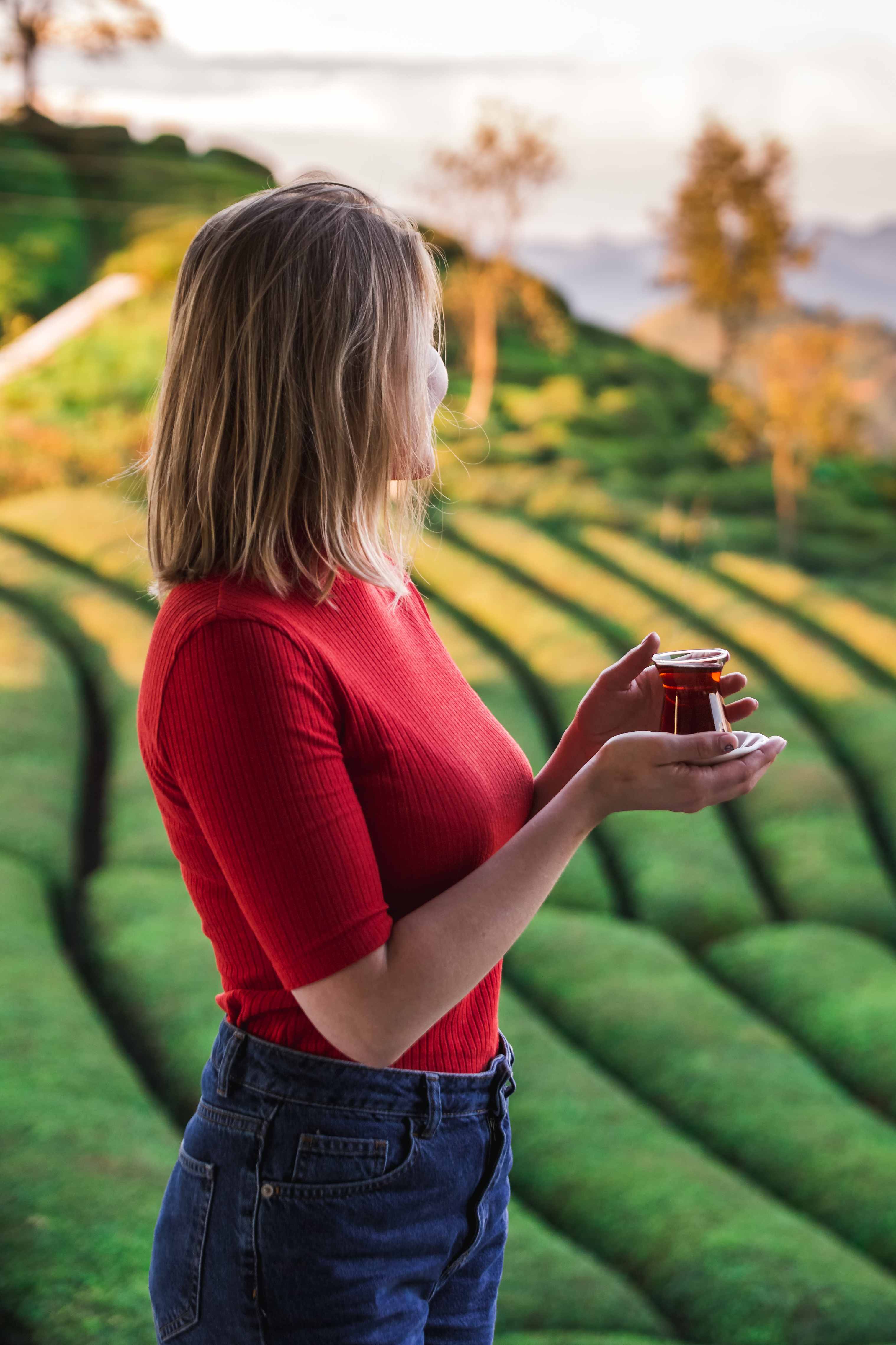 Чайные плантации возле Мацесты: Ароматный мир на юге России